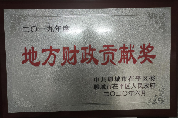 2019年度地方財(cái)政貢獻(xiàn)獎_毒霸看圖.jpg